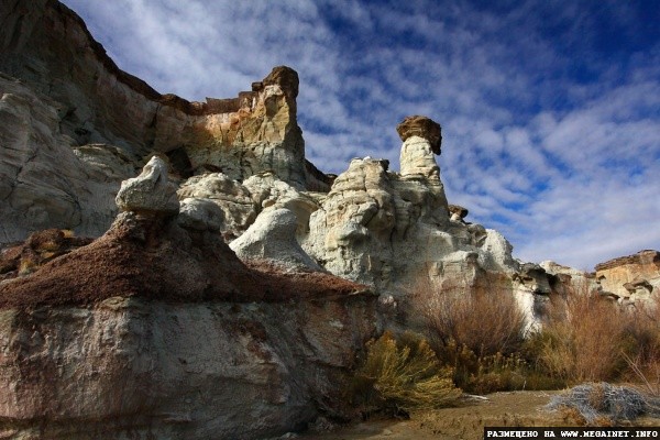 Каменные грибы из Аризоны