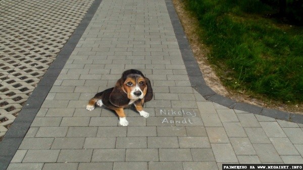 3D Street Art