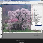 Видеоуроки Adobe Photoshop CS3 от Зинаиды Лукьяновой и Евгения Пoпова ( Обновление 09.01.2013 ) ( 2007-2010 )