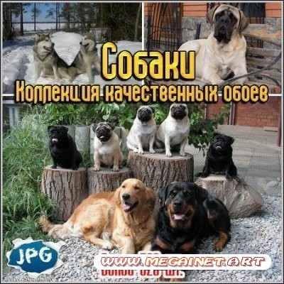 Собаки - Коллекция качественных обоев