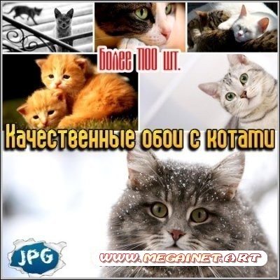 Качественные обои с котами