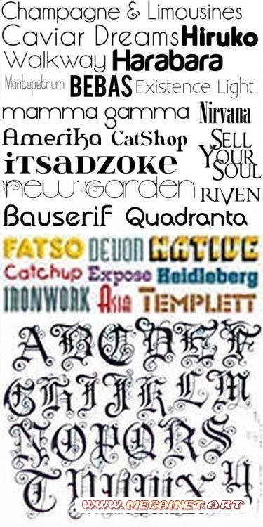 Сollection of the best fonts